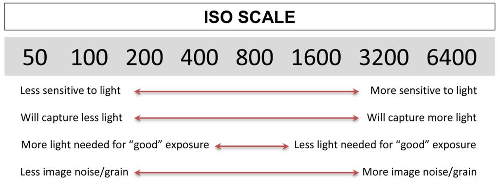 Understanding Exposure Exposures are made when the camera allows light to enter the lens and record on the digital imaging sensor.