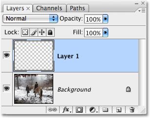 Click on the New Layer icon at the bottom of the Layers palette. It's the icon second from the right, beside the Trash Bin: Click on the New Layer icon at the bottom of the Layers palette.