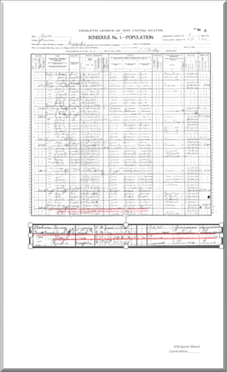 CENSUS RECORDS When preparing census records, the entire page must be provided in the proof.