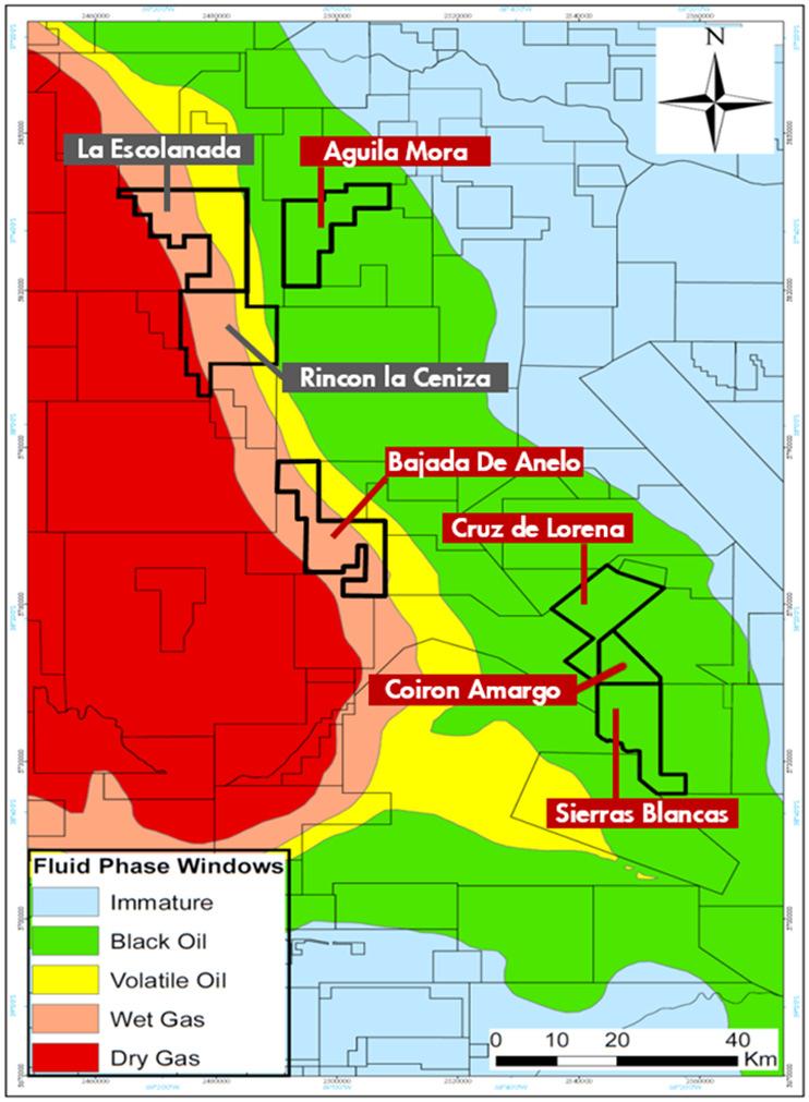 Actividad de Shell en VM 5 áreas operadas 2 áreas no operadas 26 pozos no convencionales ~170k acres ~4000 bbl/d petróleo