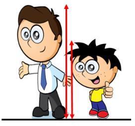 Children use and understand the language of length such as long, longer, short, shorter, tall, taller.