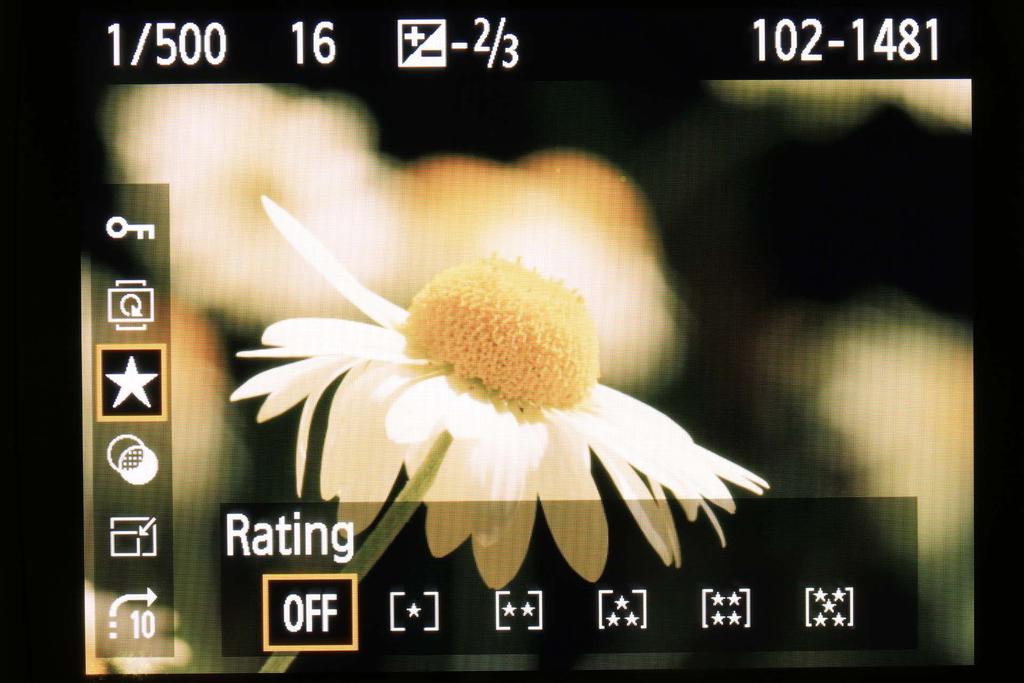 Using the Q button to set the playback functions On the EOS 1300D, the playback functions are also available via the Q button as shown in the images on the page.