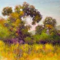 PASTEL PAINTING TREES By Shirley Anderson May 20, 2017 9:30 AM 3:00 PM Butler Center, Little Rock, AR Donation $25 (APS) This helps support the APS National Show Contact Person: Sheliah Halderman