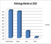 About Conference Market Analysis of The worldwide pathology statistical surveying report gives point by point data about the business in light of the income (USD MN) for the estimate time frame.