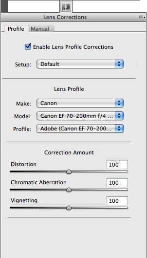 23 11 Lens correction panel After the release of Camera Raw 6.1, the panel Lens Correction has been completely revised.