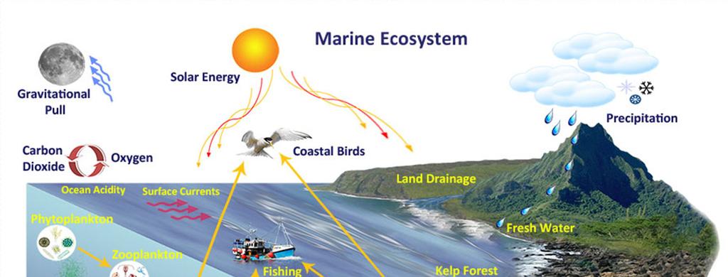 Paradigm shift from traditional discipline based marine research