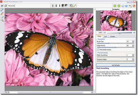 Workspace Workspace AKVIS SmartMask is a plug-in to a photo editor.