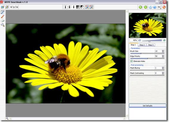 Working with the plugin Working with the plugin Follow this instruction to cut out an object using SmartMask: 1. Open an image in your photo editor. 2. Copy the image to a new layer (Duplicate Layer).
