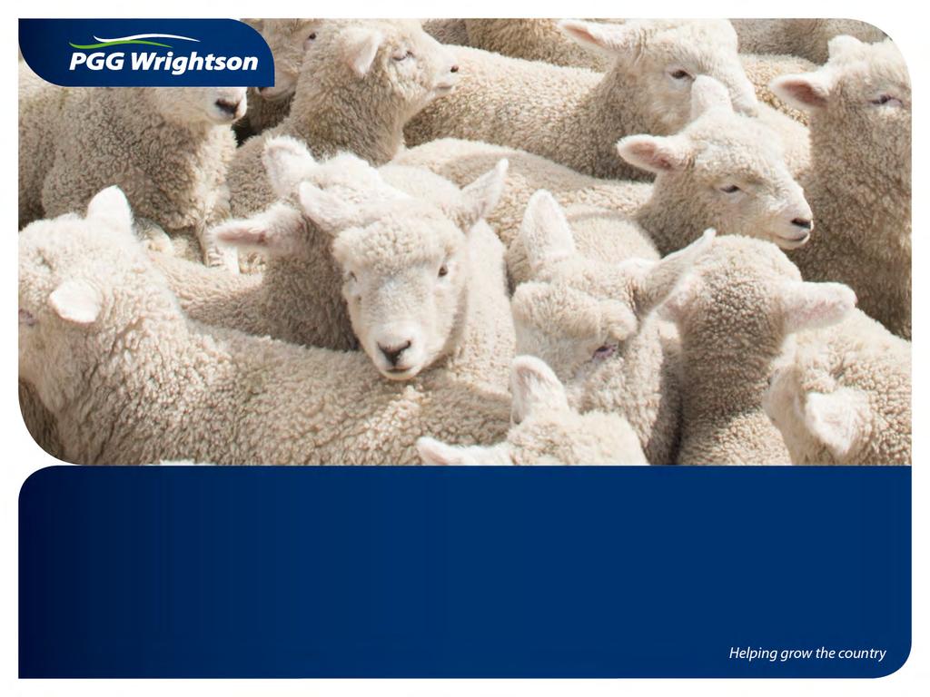 WELCOME TO THE PGG Wrightson Limited