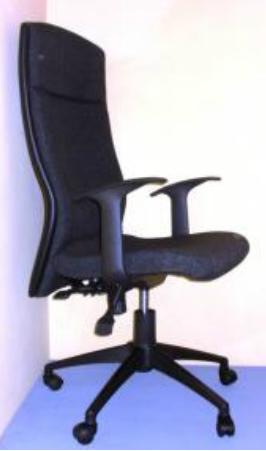 10 90 100 High Back Ergonomic Chair in synthetic