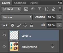 You will see 2 layers. The top layer will be a new layer you have just created (most likely called Layer 1). The other one will be your Background layer.