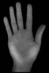 (d) and fingerprint (e). 5.