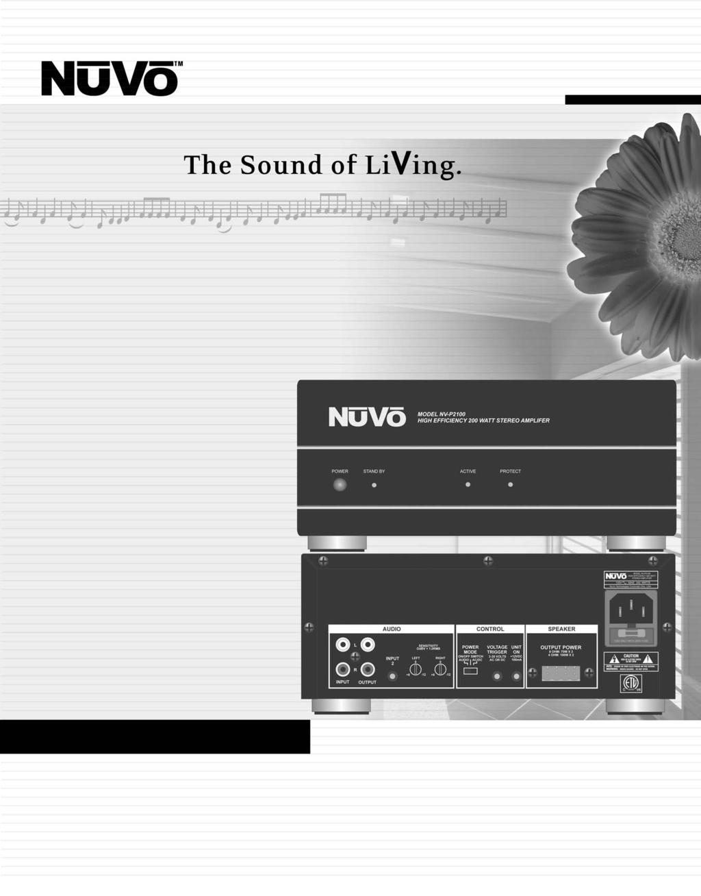 NV-P21 Audio