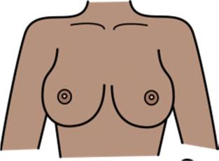 Breasts Any lumps in breasts or armpits? Any liquid from your nipple?