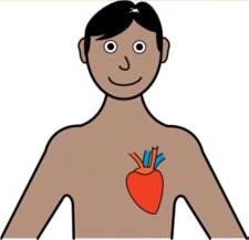 Heart Difficult or labored breathing during the day and at night Chest pain