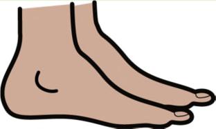 Feet Have you been to a podiatrist (foot specialist)? When did you last go?
