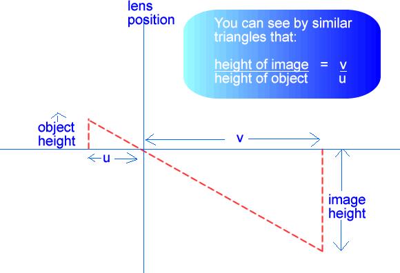 Magnification The magnification of a lens is the ratio of the