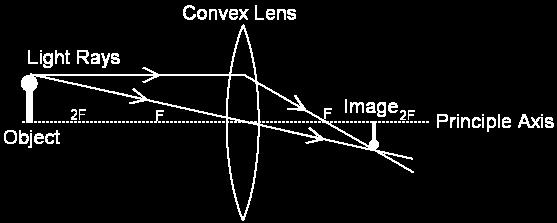 Ray Diagrams for Converging Lens 1) Draw the principal axis and the lens (always shown as a line with arrowheads) 2) Draw the object (drawn as a vertical arrow going upwards ) 3) Draw a line straight