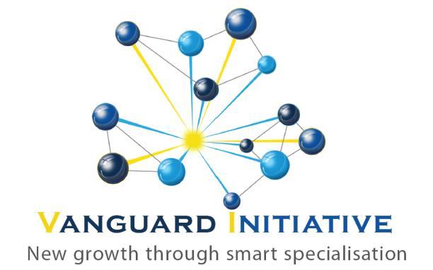 Vanguard Initiative New