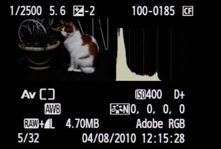 In single histogram mode, the LCD screen will display either the Brightness or the RGB histogram according to the setting you selected in the Playback menu.
