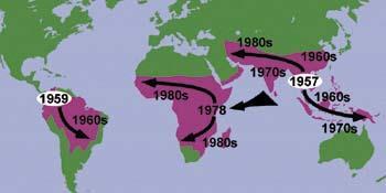 The evolution of drug-resistant malaria (Plowe CV.