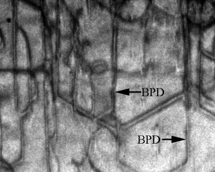 dislocations (TSDs) and basal plane dislocations (BPDs) in a (0001) 4H SiC wafer; (b)