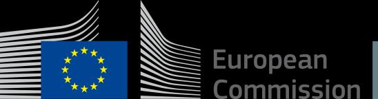 European Commission Directorate-General for Internal Market,