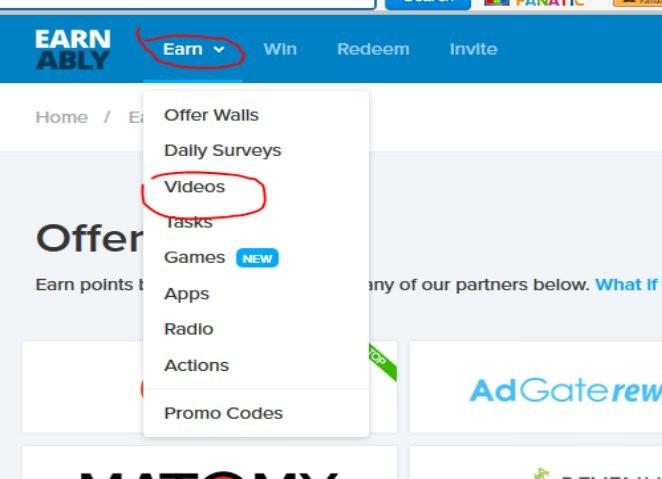 After clicking on the Offer Walls lin, you will be taken to a new page where you will find 23 different offer walls that you can earn easy money from.