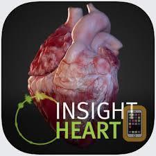 Prepare Download Insight Heart from the store *our use one of the devices provided Insight Heart Perform 1. Launch app 2. Follow instructions to place avatar on floor 3.