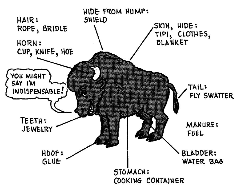 1. What did the buffalo mean to the Native Americans?