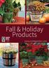 Fall & Holiday Products