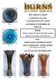 2015 GREAT LAKES CARNIVAL GLASS CONVENTION AUCTION