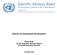 Science for Sustainable Development. Policy Brief by the Scientific Advisory Board of the UN Secretary-General