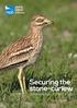 Securing the stone-curlew. Summary report Securing the stone-curlew 1
