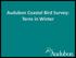 Audubon Coastal Bird Survey: Terns in Winter