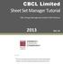 CBCL Limited Sheet Set Manager Tutorial 2013 REV. 02. CBCL Design Management & Best CAD Practices. Our Vision