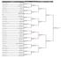 Men's Open Singles - Final Rounds Round of 16. Quarterfinals. L. Hoover(1) L. Hoover(1) 6-2; 6-2 J. Isaacs. N. Kumar(8) M.