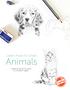 Learn How to Draw. Animals. Created exclusively for Craftsy by Antonella Avogadro