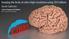 Imaging the brain at ultra-high resolution using 3D FatNavs
