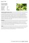 Canada Warbler. Appendix A: Birds. Cardellina canadensis. New Hampshire Wildlife Action Plan Appendix A Birds-86