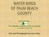 WATER BIRDS OF PALM BEACH COUNTY