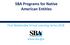SBA Programs for Native American Entities