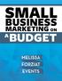 SMALL BUDGET BUSINESS MARKETING ON SMALL BUSINESS MARKETING ON A BUDGET 1