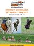 BIRDING IN COSTA BLANCA 28 th April to 1 st May 2017