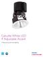 Calculite White LED 4  Adjustable Accent. Professional-grade downlighting