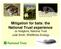 Mitigation for bats: the National Trust experience Jo Hodgkins, National Trust Jude Smith, WildWorks Ecology