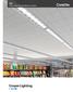 RZL LED Linear Suspended Luminaire