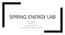SPRING ENERGY LAB. Sean Flanagan Section A December 9, 2016 Lab Partners: M. Chava, J. Barnhart