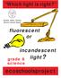 ecoschoolsproject Which light is right? fluorescent or incandescent light? grade 8 science Greater Essex County District School Board