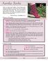 Pattern Details: Stitch Guide: Aurelia Socks 2007 Elizabeth Manning Page  Elizabeth Manning -